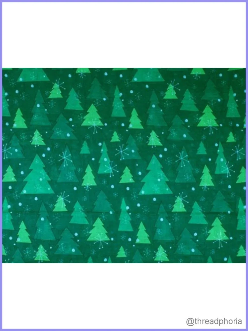 Women's Lightweight Sheer Fashion Scarf 2 Pack Holiday Gift Wrapped Soft Winter